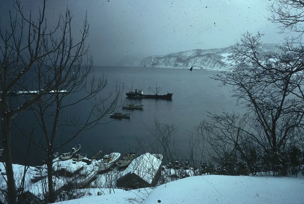Japan Series: Furubira Fishing Port