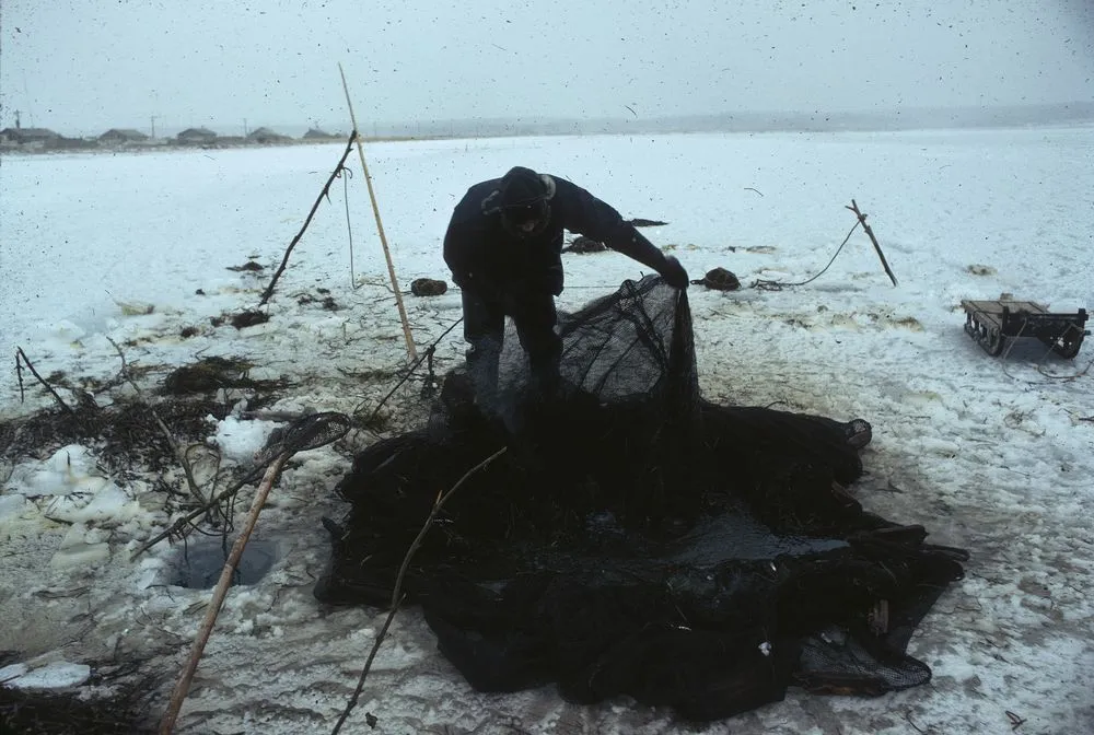 Japan Series: Nemuro