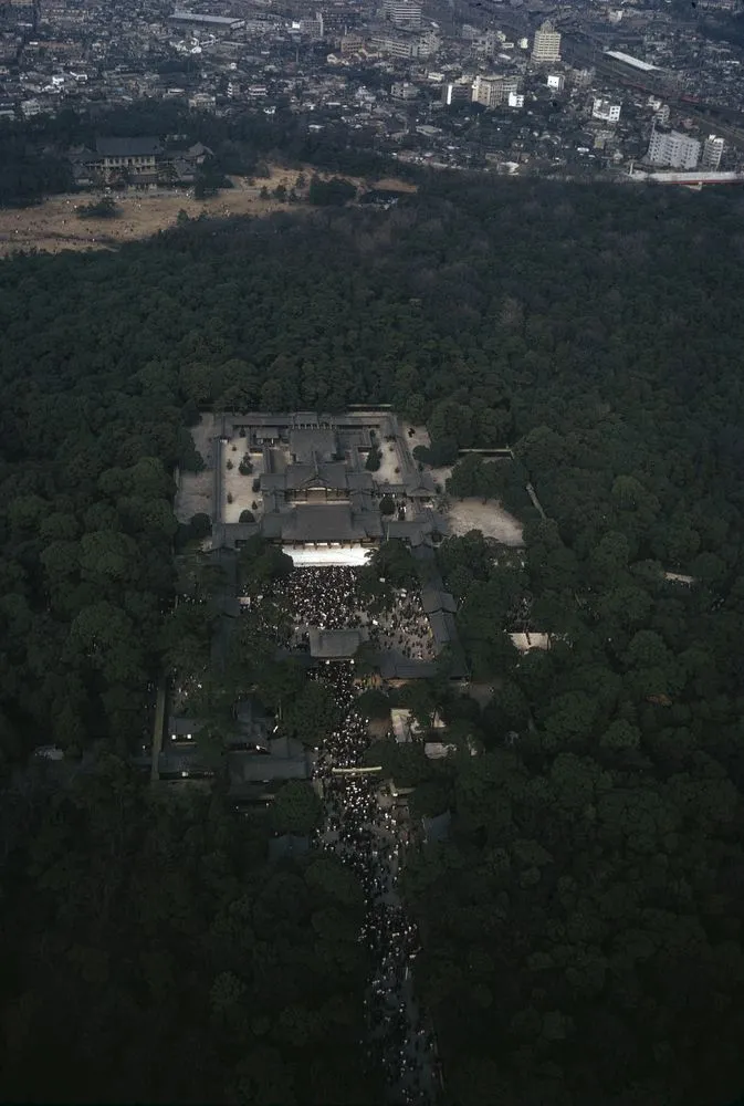 Japan Series: Tokyo Meiji Shrine