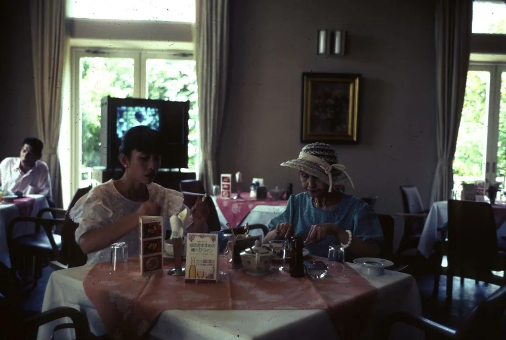 Japan Series: Nara Hotel