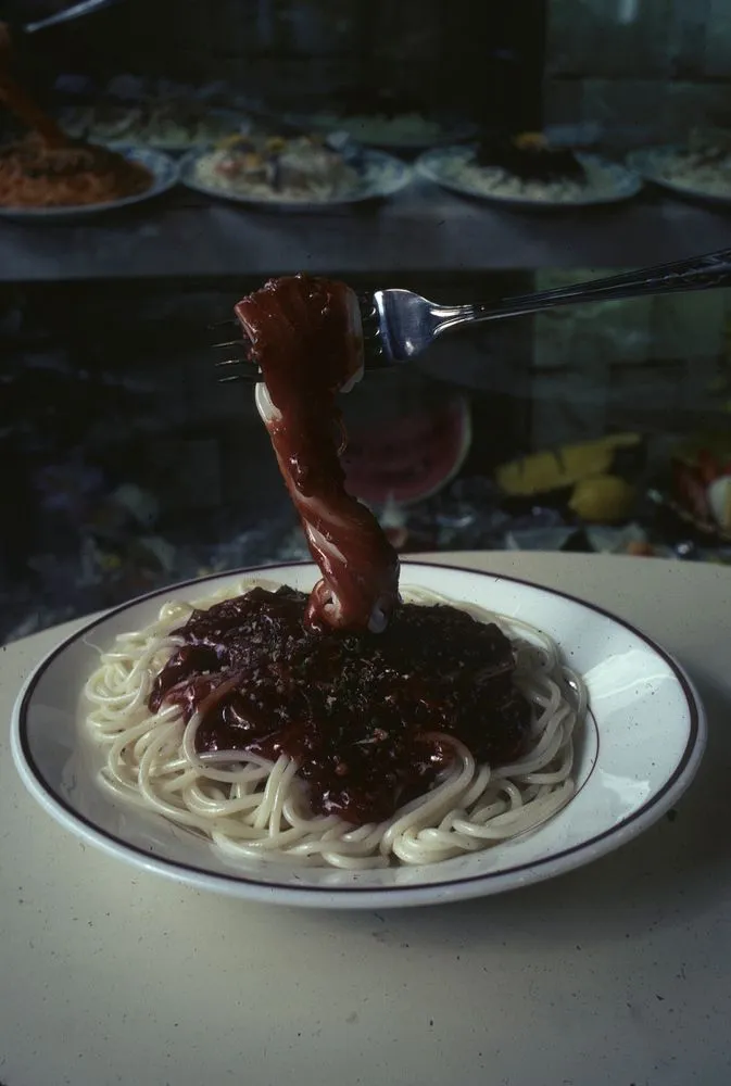 Japan Series: Plastic Food