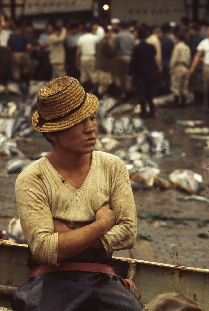 Japan Series: General Views