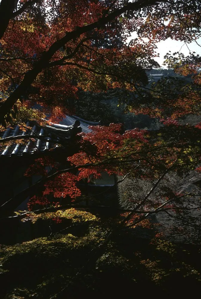 Japan Series: General Views