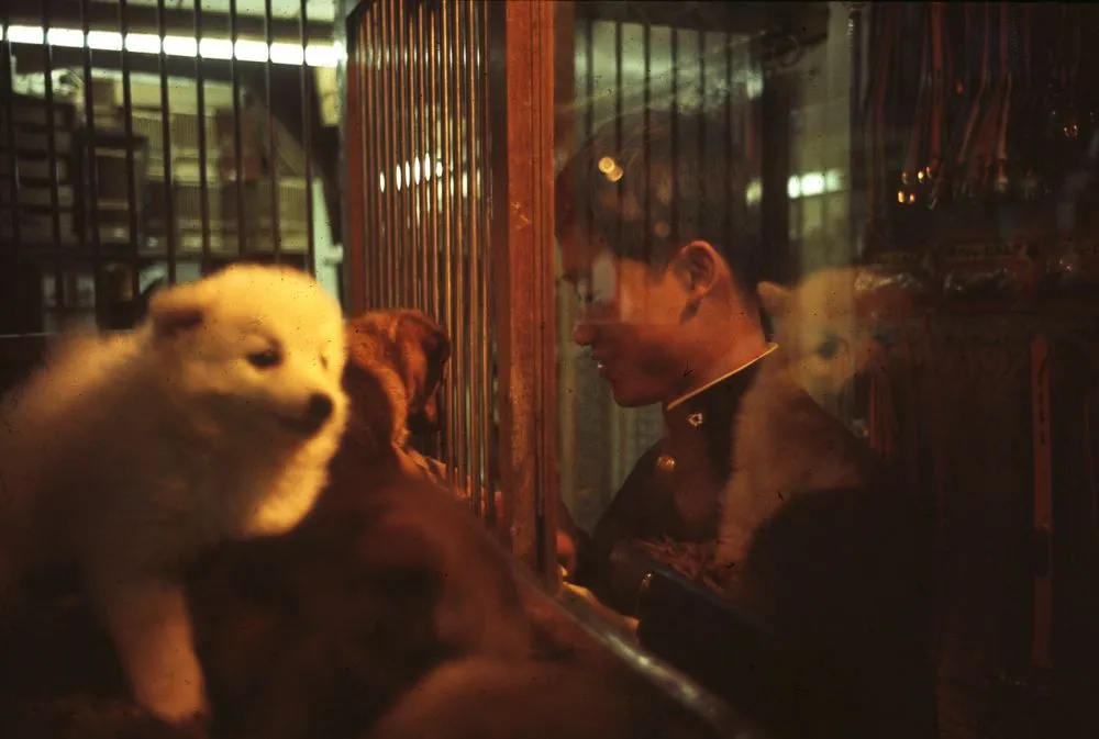 Japan Series: General Views