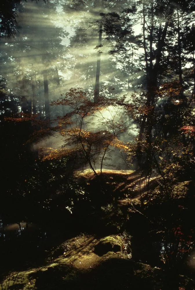 Japan Series: General Views