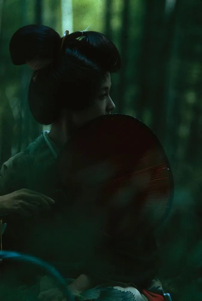 Japan Series: Movie Industries