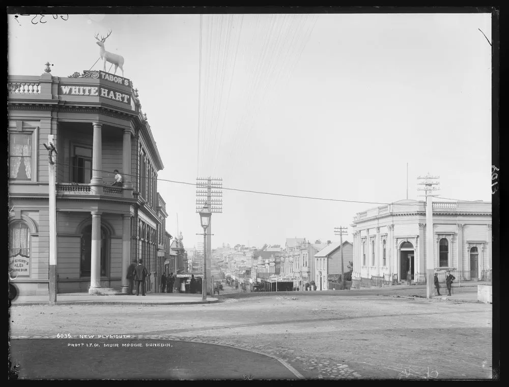 New Plymouth Record DigitalNZ