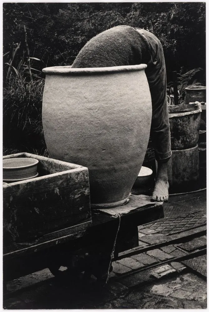 Ostrich (Barry Brickell)