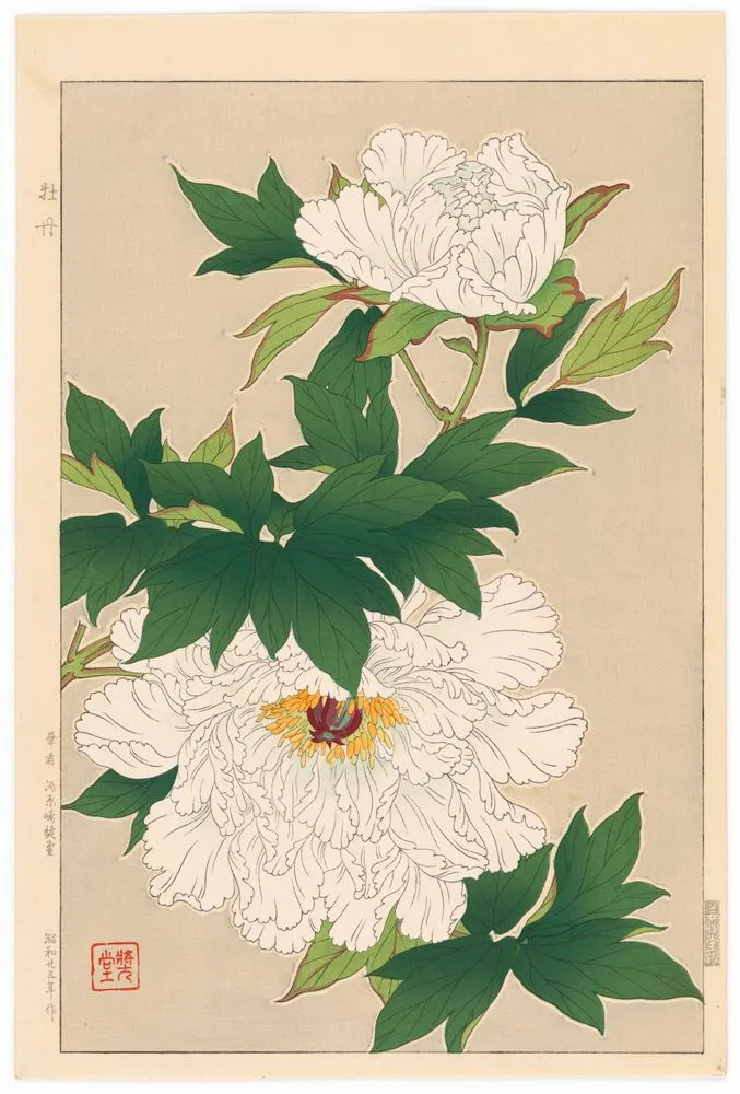 Peonies