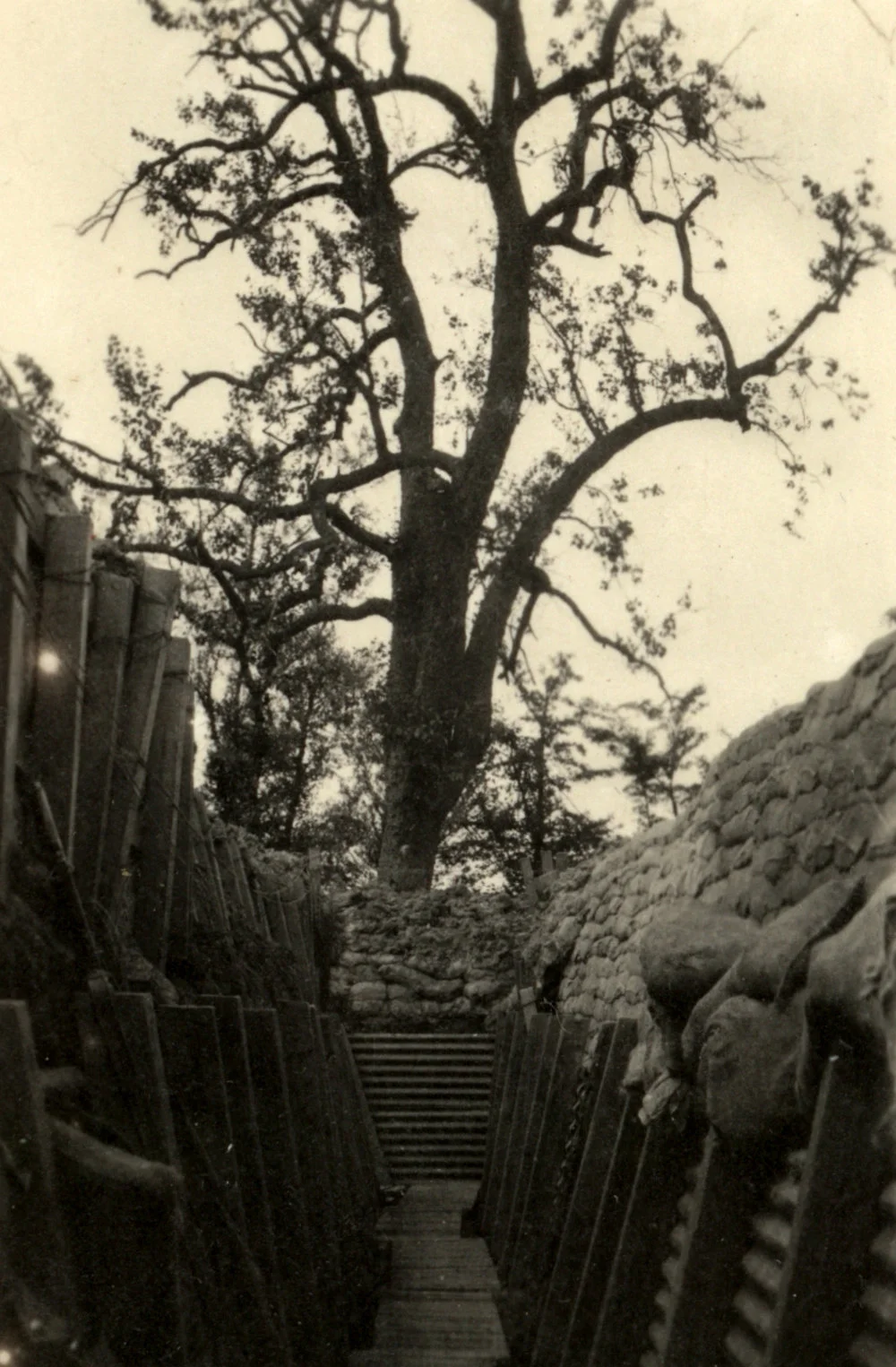 England, Egypt, Gallipoli and Western Front