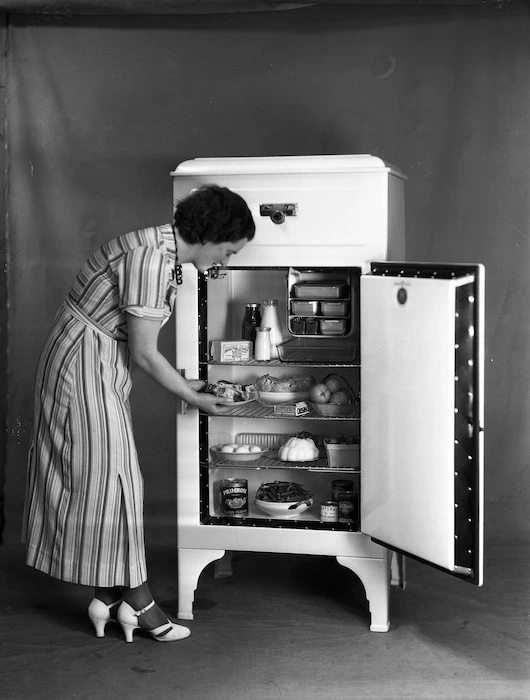 Model and refrigerator | Record | DigitalNZ