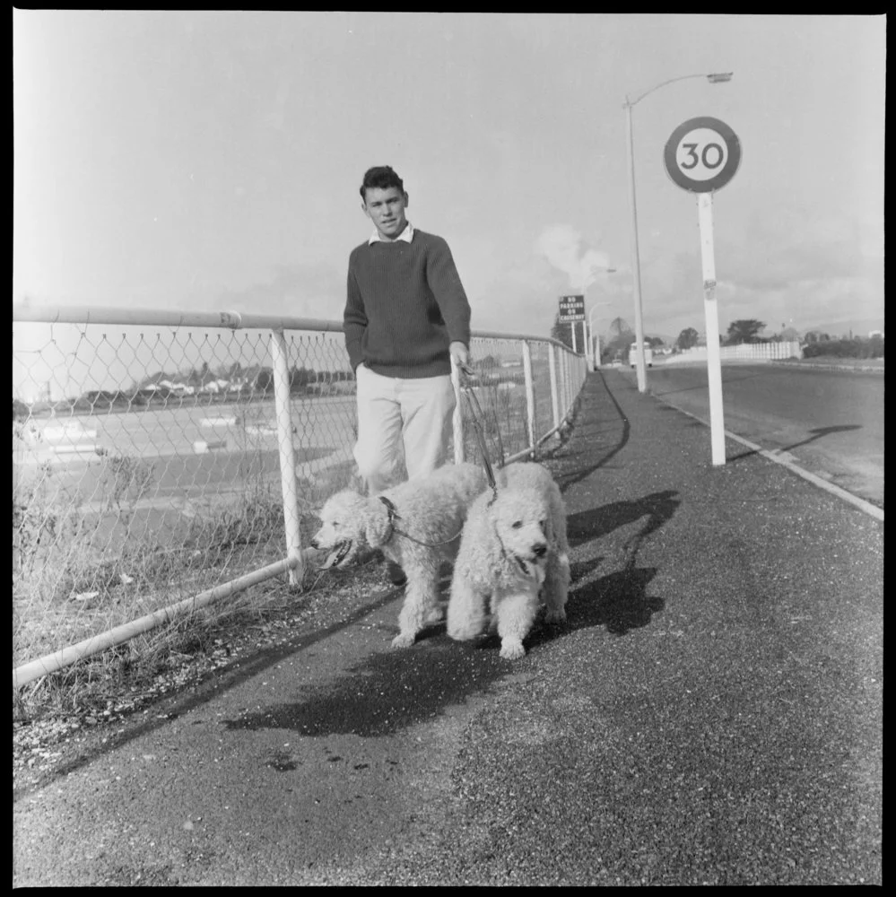Dennis Hoffman taking dogs for walks