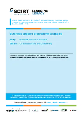 Business support programme examples