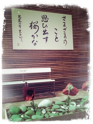 Photograph of Gap Filler project 20 (18)