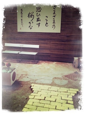 Photograph of Gap Filler project 20 (20)