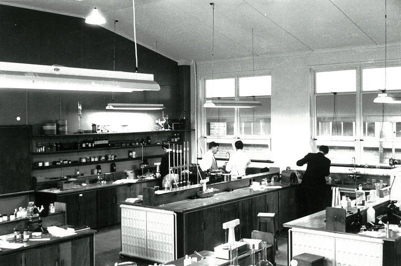 Pharmacy Laboratory in the Old Dental School Annexe