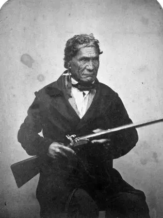 Portrait of Eruera Maihi Patuone by John Nicol Crombie | Record | DigitalNZ