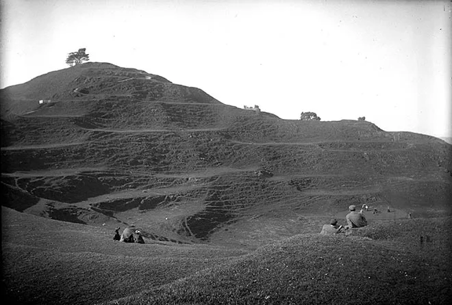 Maungakiekie (One Tree Hill), Tāmaki-makau-rau