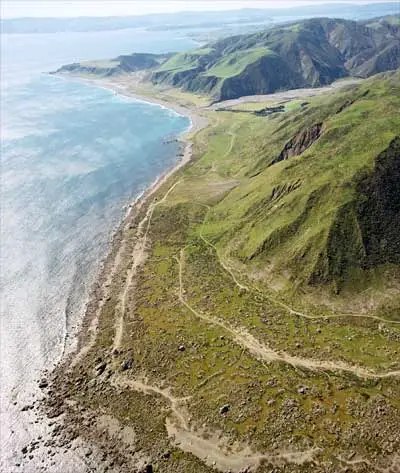 Raised beaches, Turakirae Head