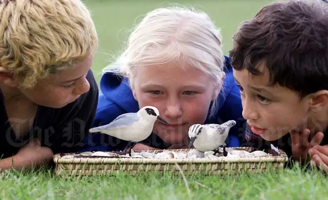 Learning about migration