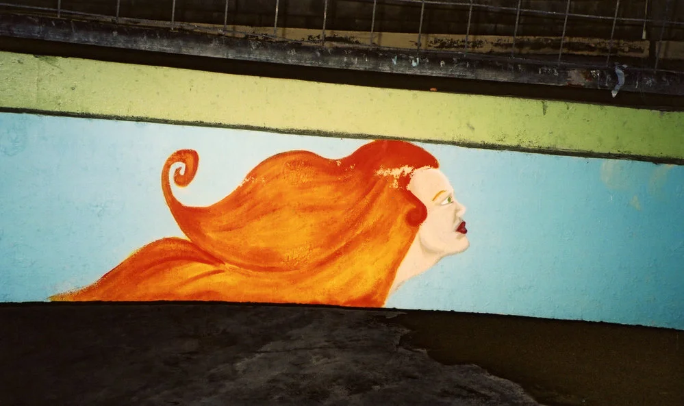 Mural, James Smith Carpark Record DigitalNZ