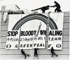 Greenpeace members protesting against whaling