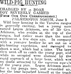 WILD-PIG HUNTING (Otago Daily Times 10-6-1918)