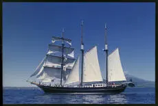 Spirit of Adventure Trust, Ship