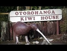Ōtorohanga, the kiwi town