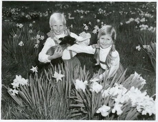 A lamb and two girls in Spring.