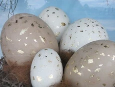 Easter eggs, Ballantynes