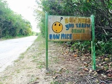 Photographs of roadside signs in Niue
