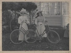 Bicycles in New Plymouth