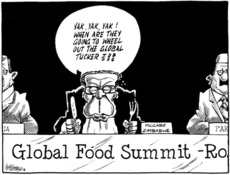 Global food summit - Rome