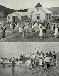 Native school, Whangapē