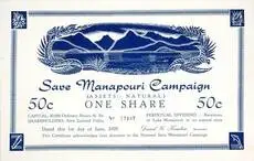 Save Manapouri share
