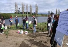 Riverbank planting