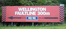 The Wellington fault