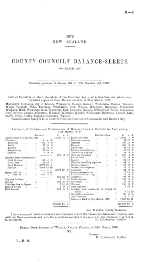 COUNTY COUNCILS' BALANCE-SHEETS, 31ST MARCH, 1879.
