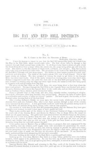 BIG BAY AND RED HILL DISTRICTS (REPORT ON), BY T. CAREY AND R. HYNDMAN, PROSPECTORS.