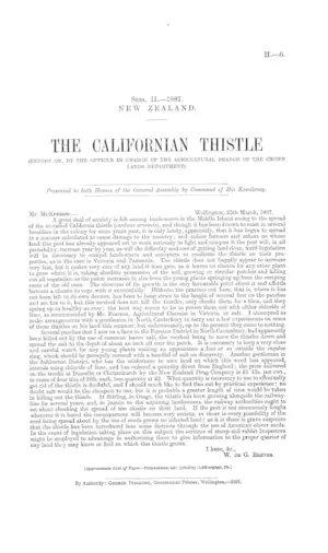 THE CALIFORNIAN THISTLE (REPORT ON, BY THE OFFICER IN CHARGE OF THE AGRICULTURAL BRANCH OF THE CROWN LANDS DEPARTMENT).