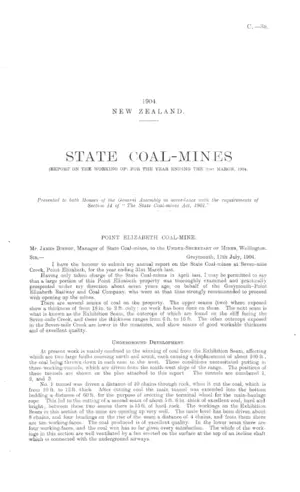 STATE COAL-MINES (REPORT ON THE WORKING OF) FOR THE YEAR ENDING THE 31st MARCH, 1904.