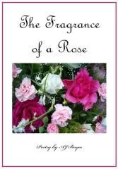 The fragrance of a rose / poetry by AJ Boyes.