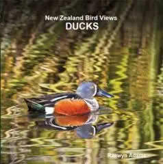 Ducks / Raewyn Adams.