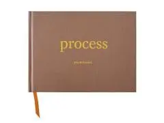 Process / John McDermott ; with an introduction by Michael Parmenter.