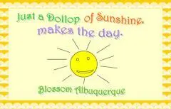 Just a dollop of sunshine makes the day / Blossom Albuquerque.