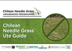 Chilean needle grass ute guide / Chilean Needle Grass Awareness Programme.
