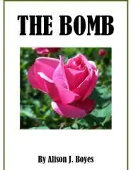 The bomb / by Alison J. Boyes.