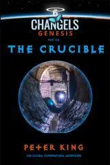 The crucible / by Peter King.