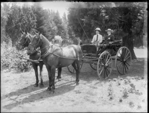 Unidentified woman with whip, and boy, sitting in a phaeton two horse drawn carriage on a lawn area with trees behind, probably Christchurch region